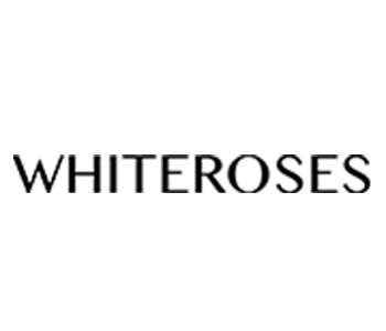 Partner 13